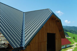 Aus unseren Referenzen S5003418.jpg