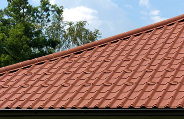 Dachpfanne mit Schneef&auml;ngern